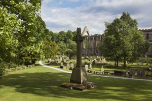 bolton abbey june 2017 4 sm.jpg